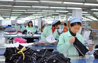 十年奋斗，一朝转行 90后小伙的旅行社业务启示录